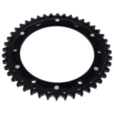 Kettenrad Dual 44Z Teilung 530 schwarz ZF Innendurchmesser 155 Lochkreis 176 passend für: Triumph Speed Triple, Sprint, Daytona