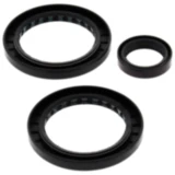 Differential Reparatursatz hinten All Balls Racing passend für: Polaris Sportsman 7731718