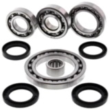 Differential Reparatursatz hinten All Balls Racing passend für: Suzuki LT - F