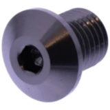 Abdeckschraube für Spiegel Daytona M10 x 1.25 mm Titan rechts