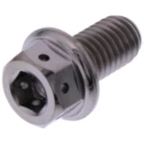 Schraube Dualdrive M8X1.25 mm 15 mm Titan Racing