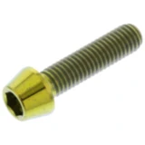 Schraube konisch M5X0.8 mm 20 mm Titan gold