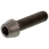 Konische Zylinderschraube M8x1.25 30 mm Titan