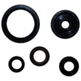 Wellendichtring Satz für Motoren 7790447