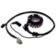 Lichtmaschine Stator Originalersatzteil passend für: Vespa GTS,
