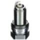 Zündkerze DCPR8EIX NGK SAE lose Alternative: 7083082 passend fü
