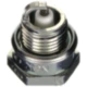 Zündkerze NGK BPM6A für Motorräder_0