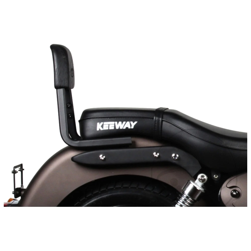 Rückenlehne Shad passend für: Kymco Downtown, Super Dink, New D