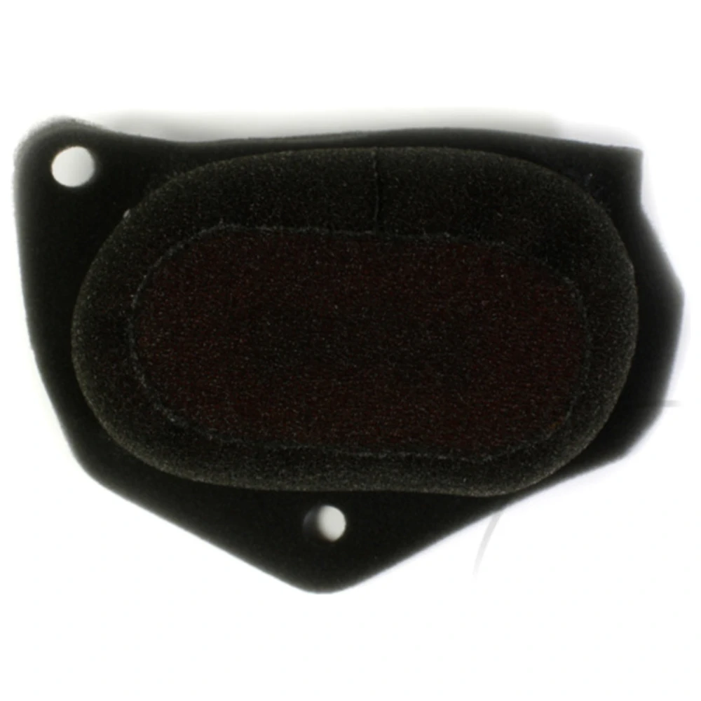 Rennluftfilter Foam Twin Air für Powerflow Kit passend für: BMW