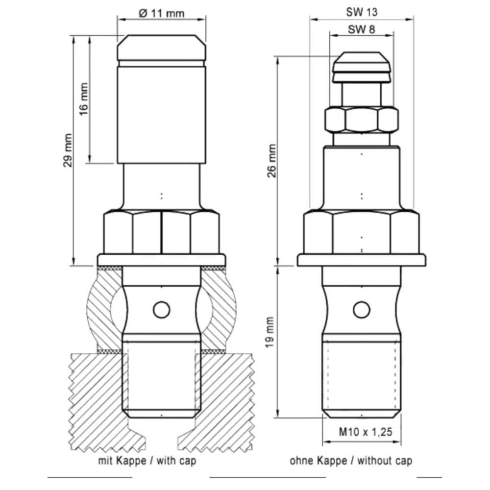 Hohlschraube einfach M10 x 1. 25 19 mm mit Entlüfterventil pass