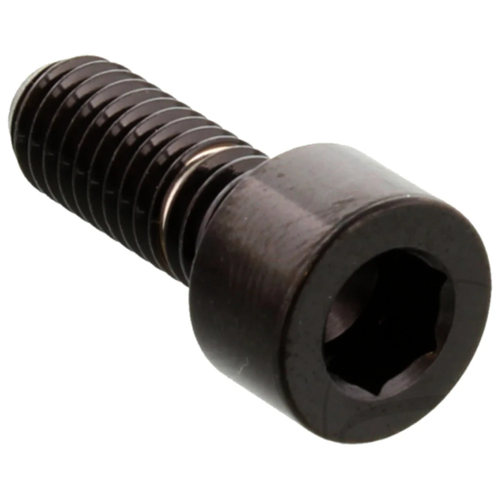 Zylinderschraube M6 x 1 mm 16 mm schwarz Edelstahl V4A_0