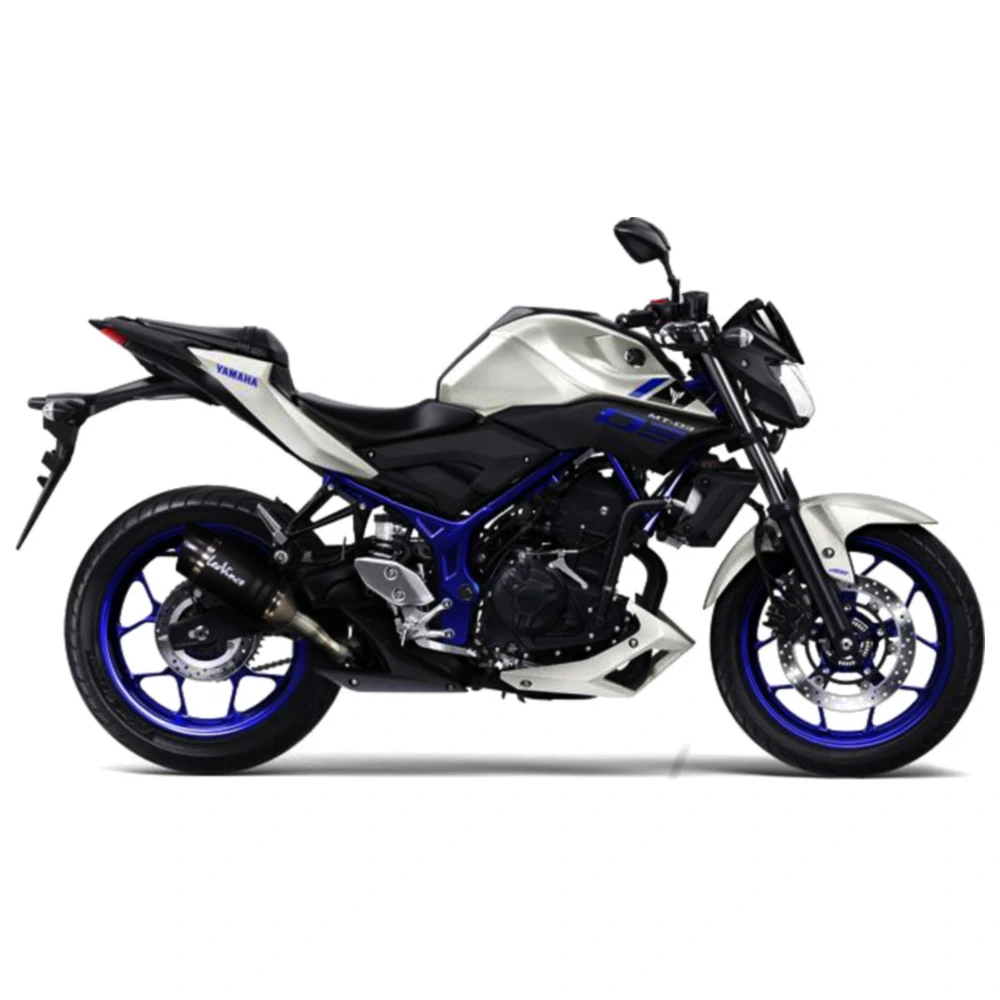 Schalldämpfer LV-PRO Carbon Slip On für Sportmotorräder_0