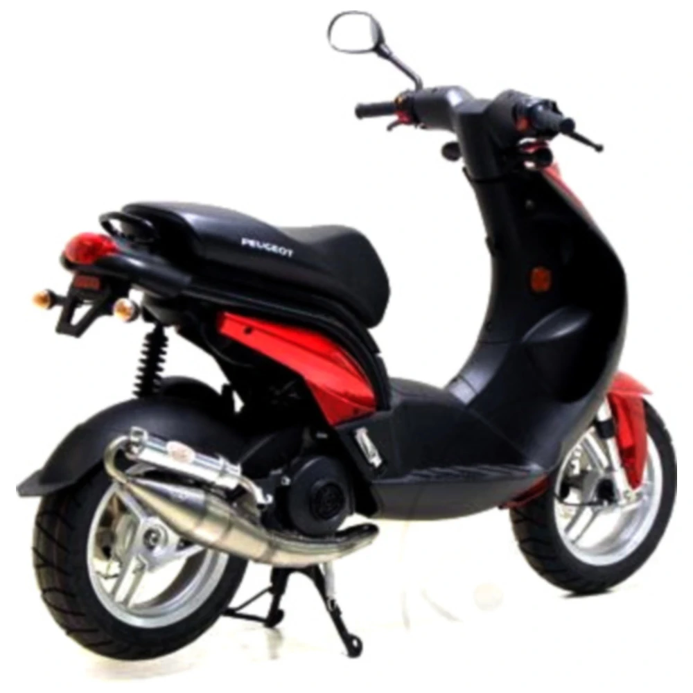 Schalldämpfer Handmade TT Leovince passend für: Peugeot Ludix,