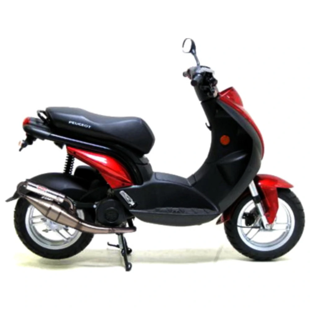 Schalldämpfer Handmade TT Leovince passend für: Peugeot Ludix,