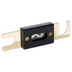 Sicherung ANL 100A 82x20 gold