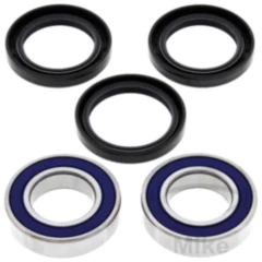 Radlager Satz komplett All Balls Racing mit Wellendichtring passend für: E - Ton DXL 7520851