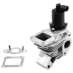 AGR Ventil mit Dichtung für Motorräder 3080825