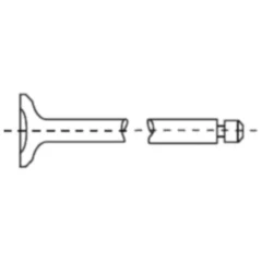 Auslassventil für Motorräder 3501086