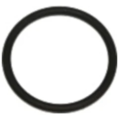 Dichtring FPM 16X19X1.5 für Chevrolet