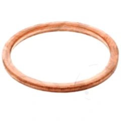 Dichtring Kupfer 24X29X2 für: RENAULT TRUCKS, VOLVO