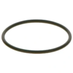 Dichtring Einspritzsystem