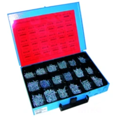 Blechschrauben Sortiment DIN 7981 1450-teilig in Blechkasten