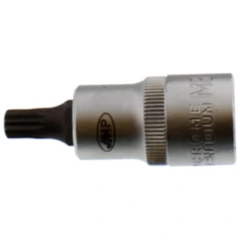 Einsatz Vielzahn M8 1/2 Zoll, Länge 55 mm