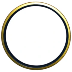 Abstreifer mit Metallstreifen für Nussbaum Hebebühnen