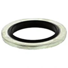 Dichtring für Schlauchanschluss JMP Lux 500