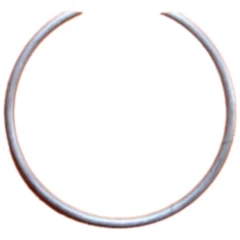 Sprengring für Twin Ram Becker 158710
