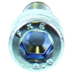 Entlüftungsschraube M6x12 für Becker MD 155