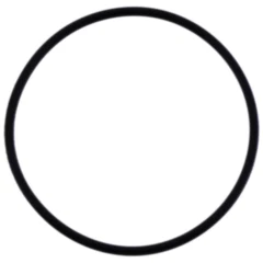 Dichtring 52X2 für JAB TWIN RAM 195627