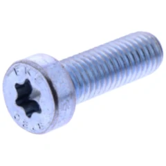 Zylinderschraube M8x25 DIN 7984 Torx für Hebebühne