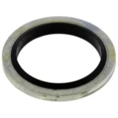 Dichtring Schlauchanschluss für JMP Fox 4000 H