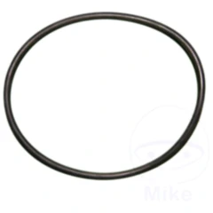 O-Ring für Nussbaum Stempelabdichtung 172 mm