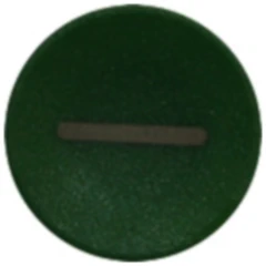 Tastenschild Start grün für Nussbaum 991045