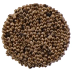 JMP Schalldämpfer für FOX 6000