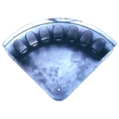 Schlauchhalter groß