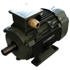 ELEKTROMOTOR 3KW Blitz BKES 501