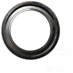 Felgenschutzring für UECKBECHER Butler BU 248