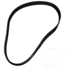 Keilriemen für Geodyna 1252585 29491 8-04231A