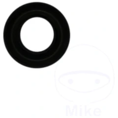 Dichtung für Spannzylinder Hofmann Monty 1683