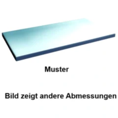 Fachboden verzinkt 100 kg 970 x 300 für Rauscher