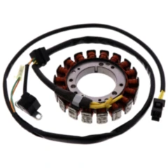 Lichtmaschinen Stator für Tourmax 7001949