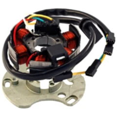 Lichtmaschine Stator passend für: Derbi Senda, GPR, Aprilia RS4, RS