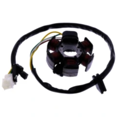Lichtmaschine Stator 101 Octane passend für: Derbi Senda, GPR, Fenix, Malaguti F (12, 10, 15), Centro, Ciak