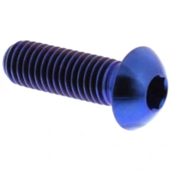 Schraube Bremsscheibe M8X1. 25 mm 25 mm Titan blau passend für: BMW R, K, F 800