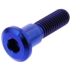 Schraube Bremsscheibe JMP Bolt M8X1. 25 mm 33 mm Titan blau passend für: Suzuki RG