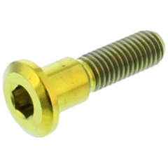 Schraube Bremsscheibe JMP Bolt M8X1. 25 mm 33 mm Titan gold passend für: Suzuki RG