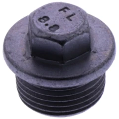 Verschlussschraube (Originalersatzteil)